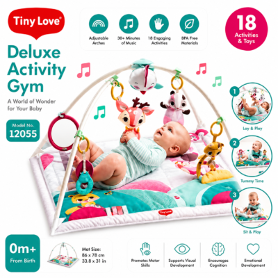 1 Tiny Love Deluxe Activity Gym & Play Mat - Tiny Princess Tales (12055)