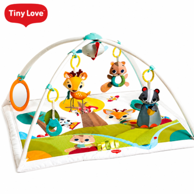Tiny Love Into The Forest Gymini Deluxe Activity Mat (12051)