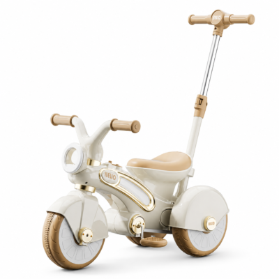 2 Convertible Toddler Tricycle Ride-On with Adjustable Push Handle & Quiet Wide Wheels (1667)