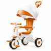 2 6-in-1 Multifunctional Kids Tricycle with Canopy & Parent Push Handle