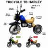 4 Motorcycle-Style Kids Tricycle with Front LED Lights & Sound System