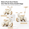 5 Convertible Toddler Tricycle Ride-On with Adjustable Push Handle & Quiet Wide Wheels (1667)