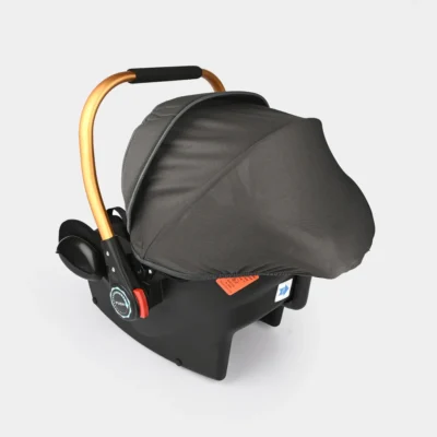 z173148_5_1024x1024 Kidilo G308 Premium Portable Infant Car Seat & Rocking Carrycot with Gold Handle